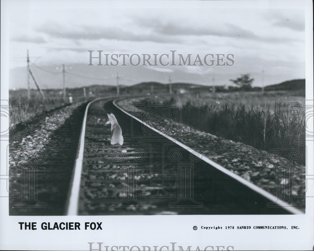 1978 Press Photo Scene from &quot;The Glacier Fox&quot; Film - Historic Images