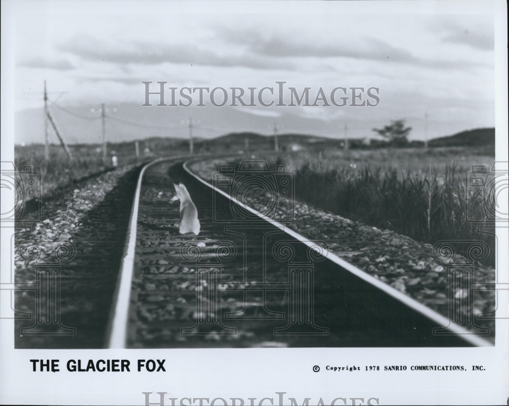 1978 Press Photo Scene from "The Glacier Fox" Film - Historic Images