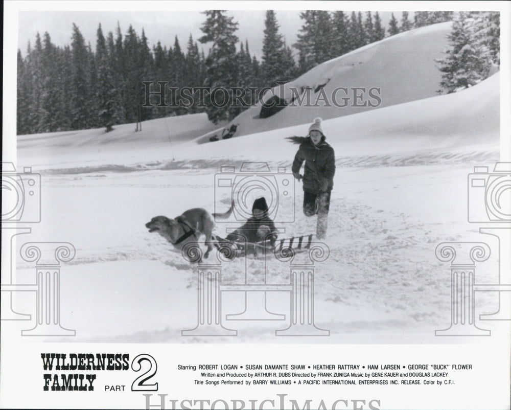 1976 Press Photo A scene from &quot;Wilderness Family Part 2&quot; - Historic Images