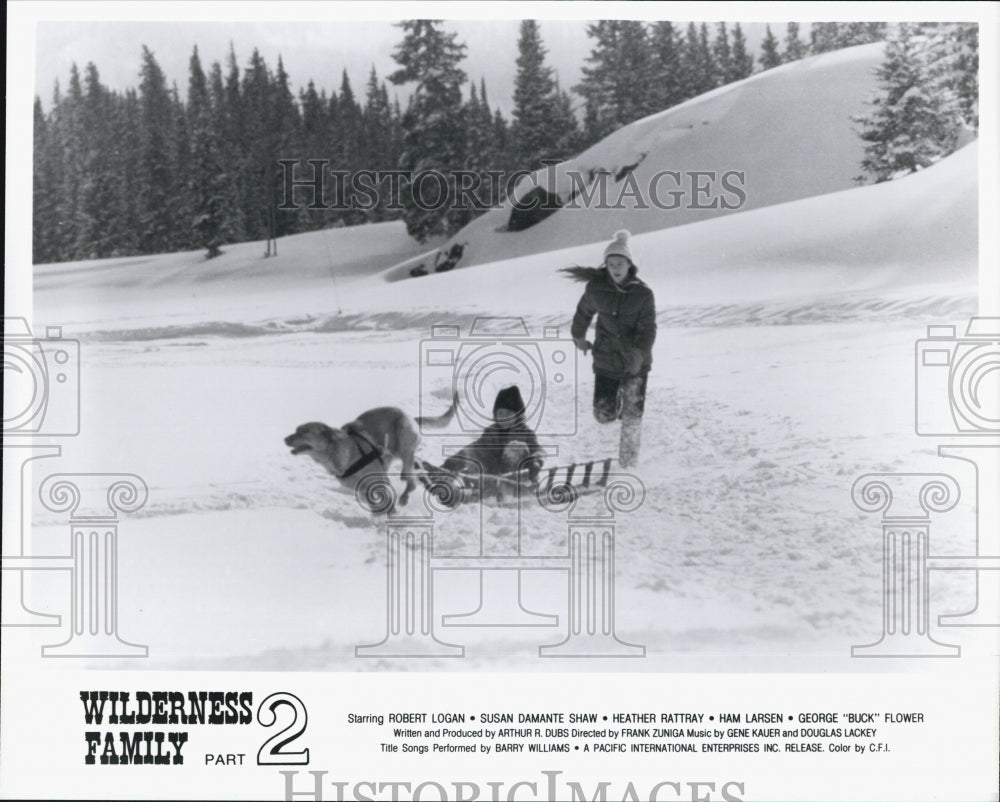 1976 Press Photo A scene from "Wilderness Family Part 2" - Historic Images