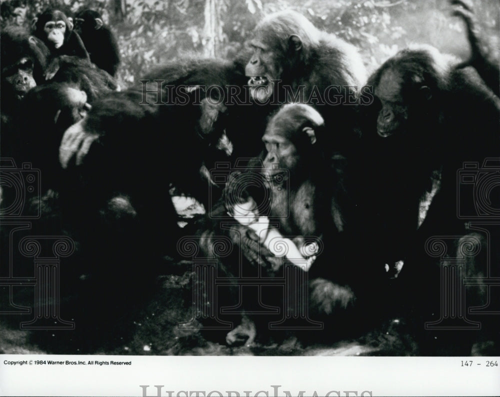 1984 Press Photo A group of apes in a Warner Bros film - Historic Images