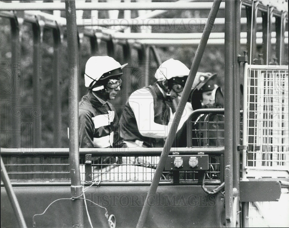 1981 Lester Piggott On Lady Be Mine Waiting For The Start Of Race - Historic Images