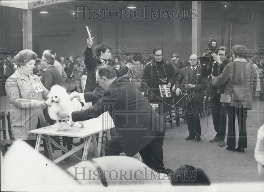 1969 Press Photo Lord Snowdon at Crufts Dog Show - Historic Images