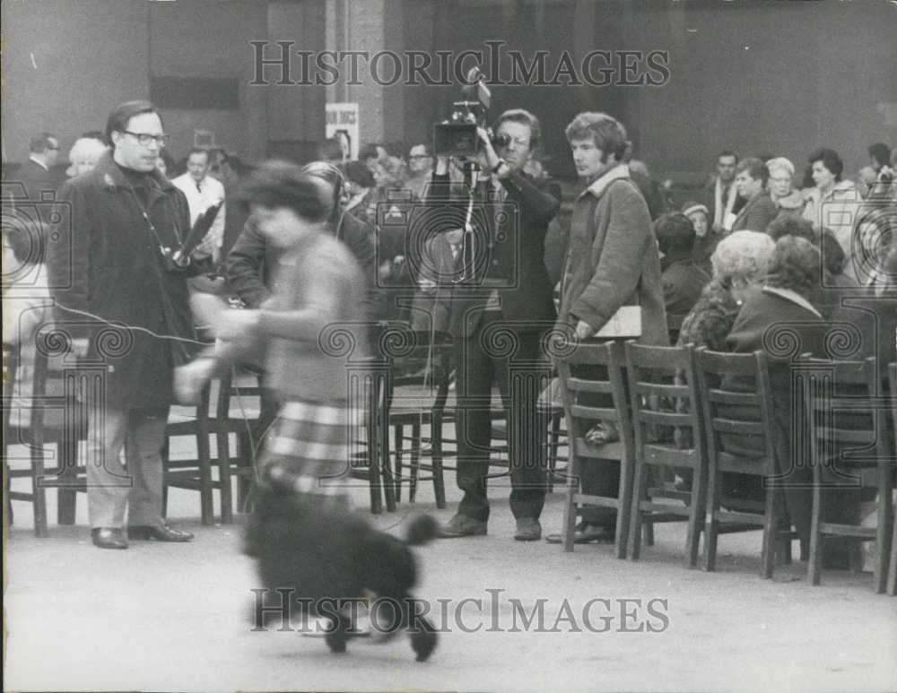 1969 Press Photo Lord Snowdon at Crufts Dog Show - Historic Images