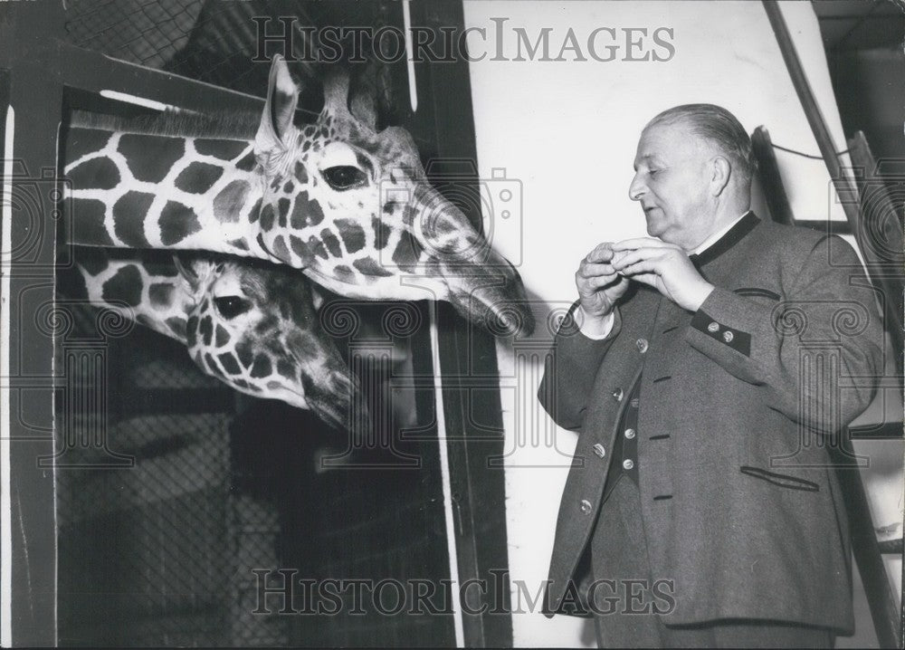 1964 Zoo Director Heinz Heck Celebrates 70th Birthday - Historic Images