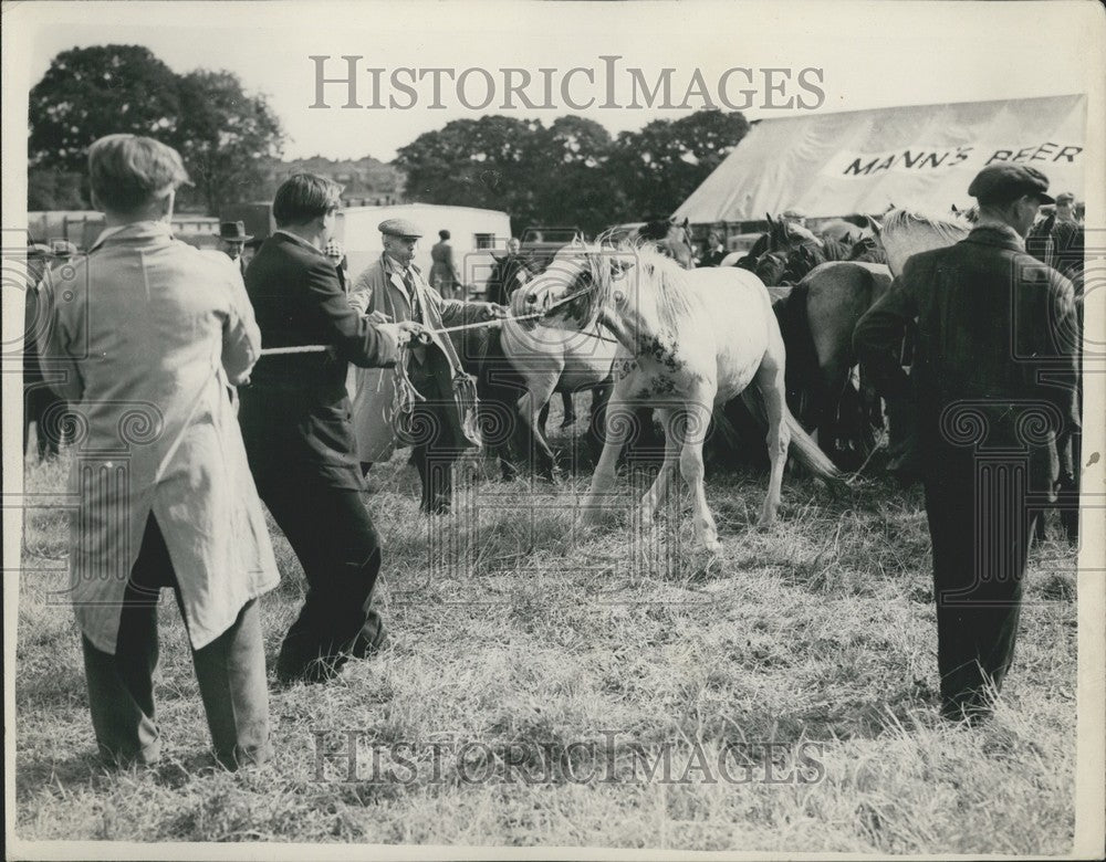 1952 Famous Barnet Horse Fair Opens - Historic Images
