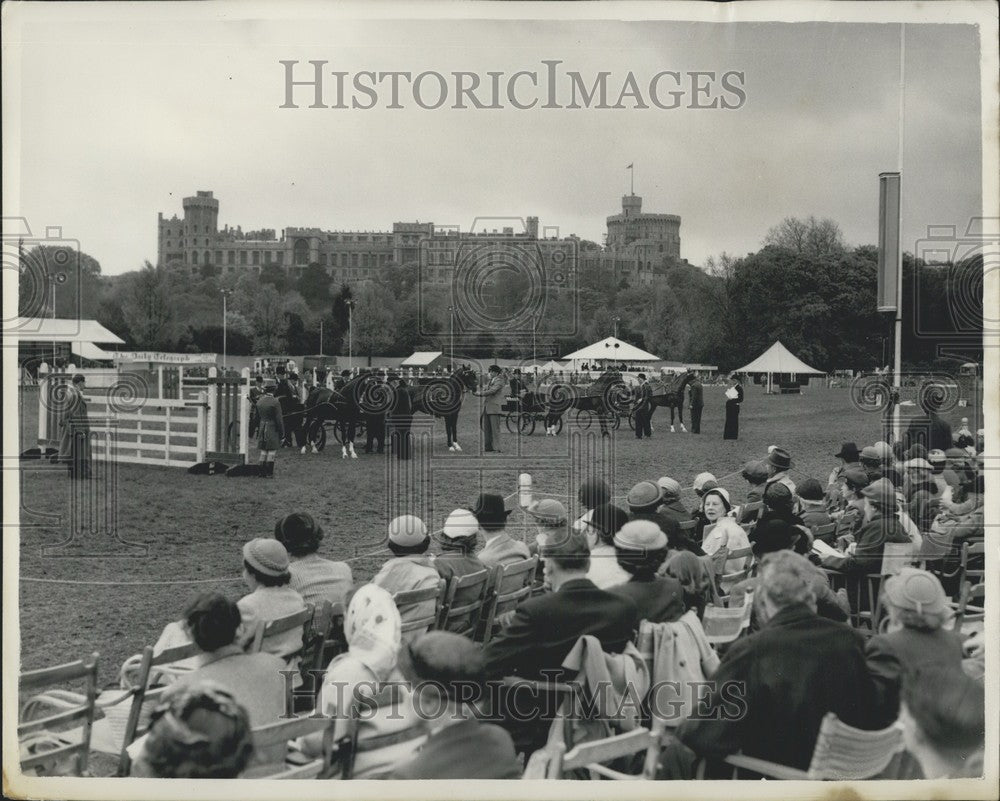 Press Photo General View Final Harness Horse Championships Royal Windsor Show - Historic Images