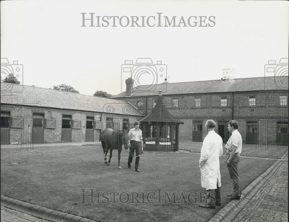 Press Photo Director, Senior Pathologist, Equine Research Station-Historic Images