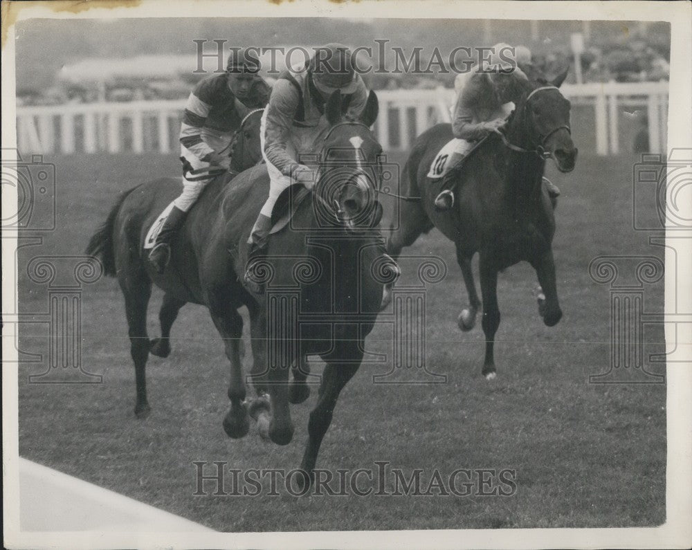 1958 Press Photo Ascot Stakes at Ascot ,Sandiacre winning - Historic Images