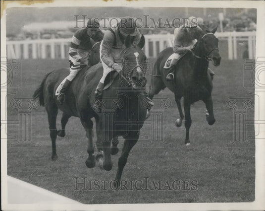 1958 Press Photo Ascot Stakes at Ascot ,Sandiacre winning - Historic Images