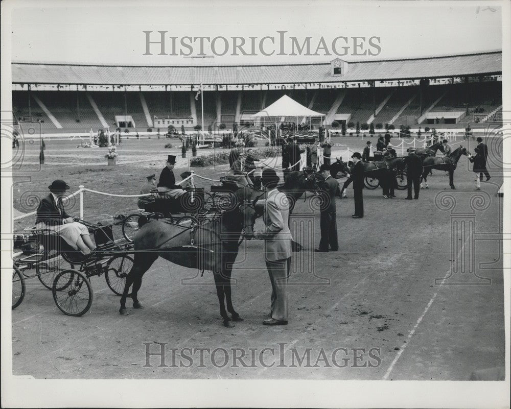 1953 Press Photo White City,International Horse show ,single harness - Historic Images