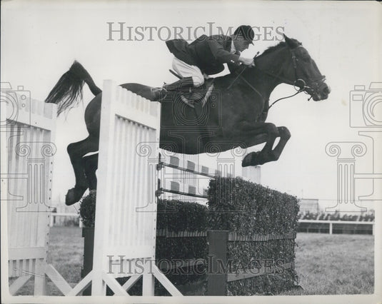 1953 H.M. White riding "Nizefella" in the Athlon Cup at Blackpool - Historic Images