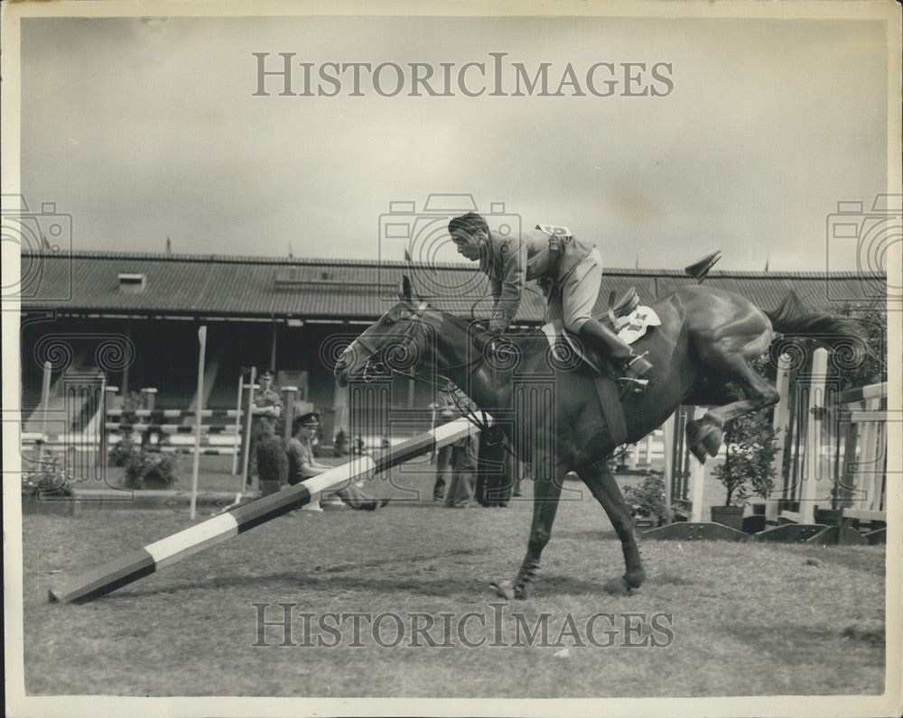 1957 Mistero hits the fence at the International Jumping Competition - Historic Images