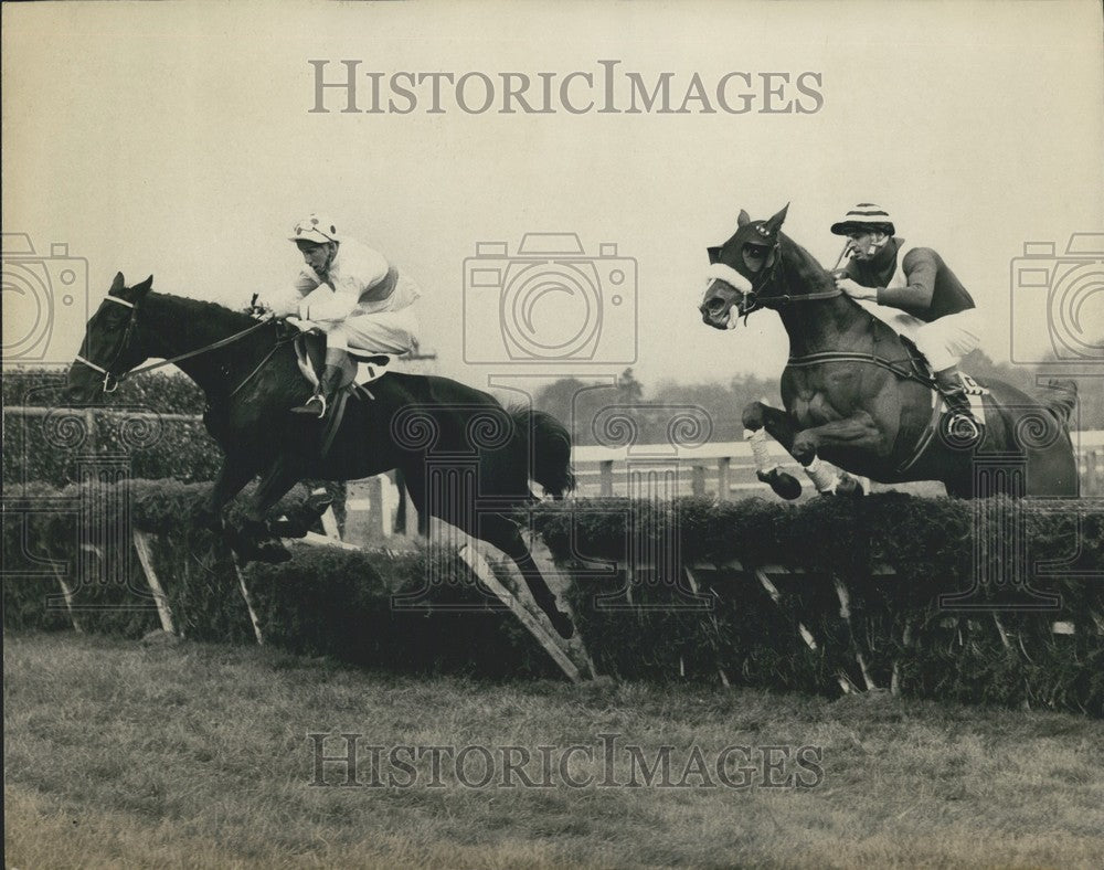 1966 Black Justice wins at Sandown Park - Historic Images