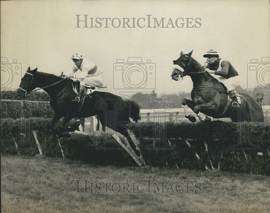 1966 Black Justice wins at Sandown Park - Historic Images