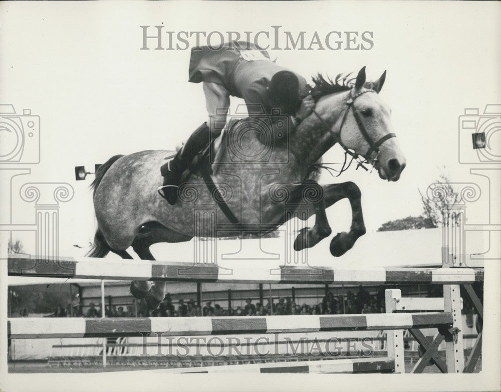 1953 A Oliver, Heron II, Grade G Jumping Competition, Royal Windsor - Historic Images