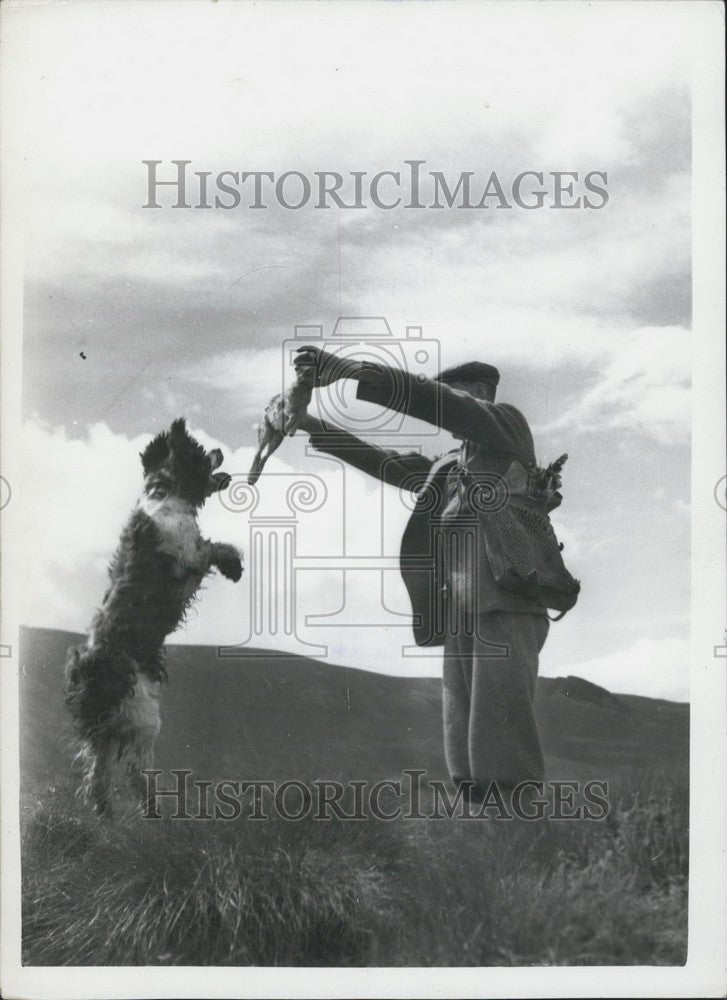 Press Photo A Hunter And His Dog Celebrate Grouse Shooting - Historic Images