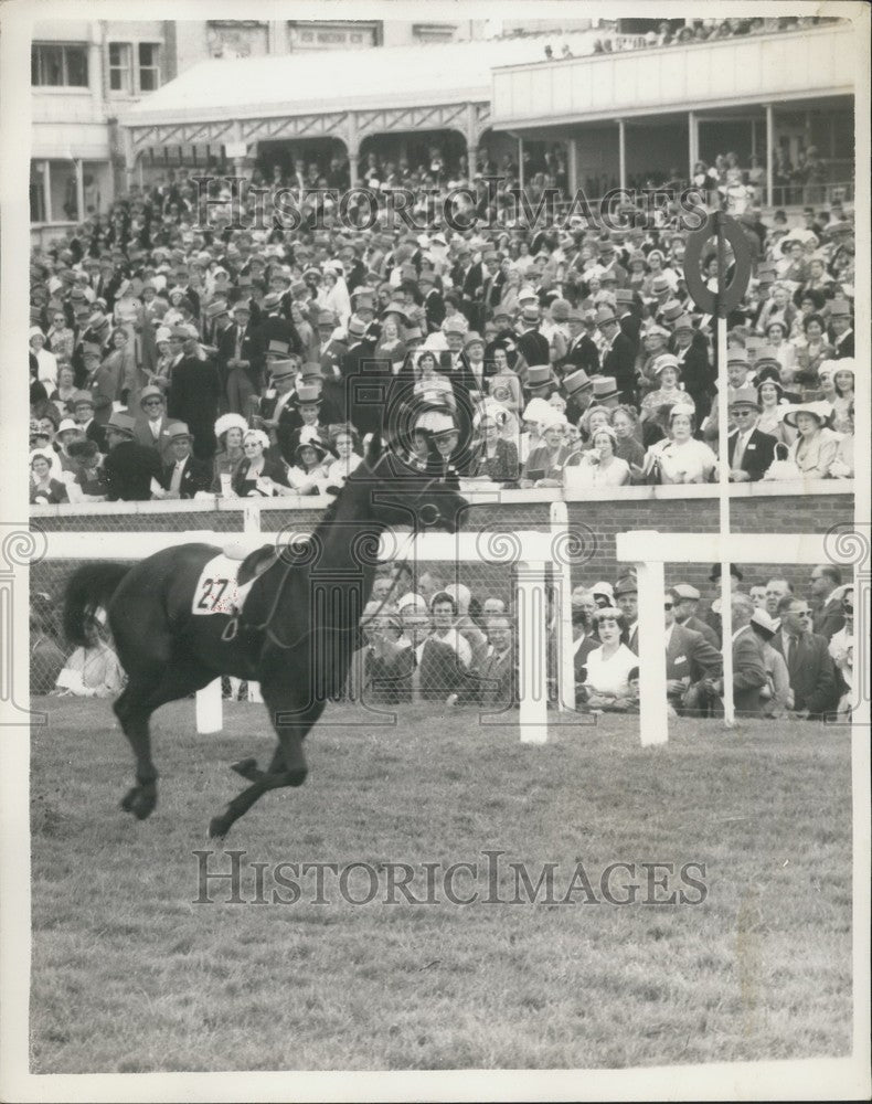 1960 Press Photo &quot;Star Chamber&quot; Runs Loose at  Royal Hunt Cup: - Historic Images