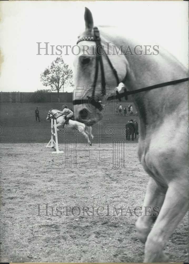 1966 International Riding and Showjumping in Munich. - Historic Images