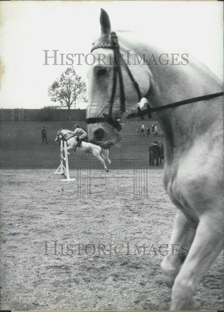 1966 International Riding and Showjumping in Munich. - Historic Images