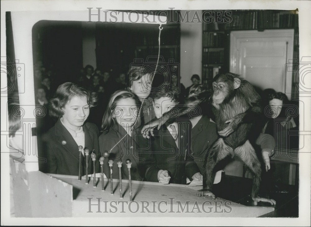 1959 Jr Zoo Society in London XYZ Club Watches Chimp Knock Down Grap - Historic Images