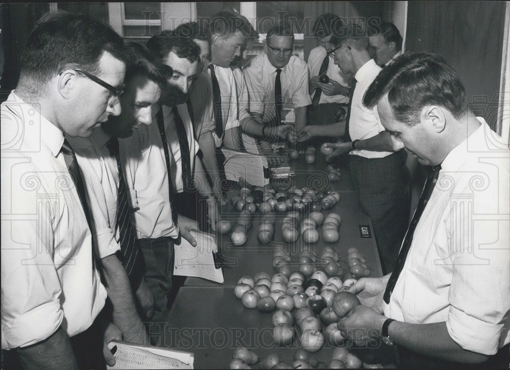 Press Photo Fruit Inspectors, Apples, Pears - Historic Images