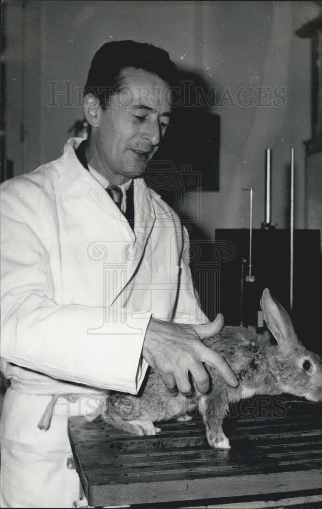 Dr. Laborit authority on hibernation in Paris Laboratory with Rabbit - Historic Images