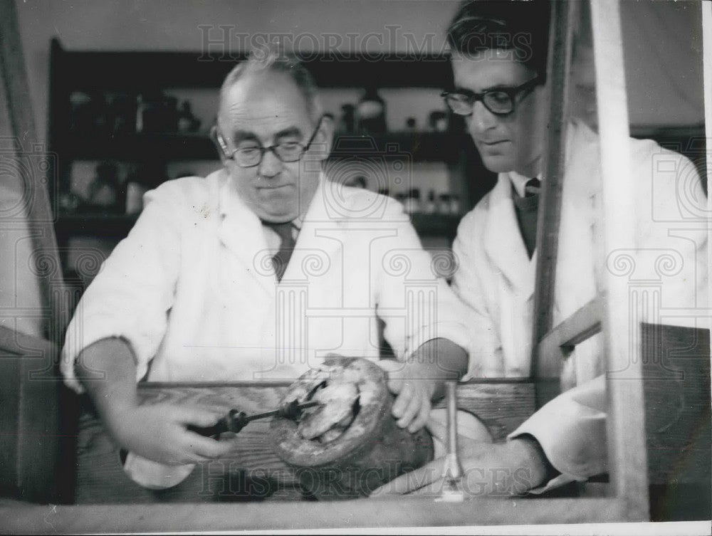 1958 Press Photo R.L. Shipp, Chief Bacterialogist Opened Tin of Veal from 1823 - Historic Images