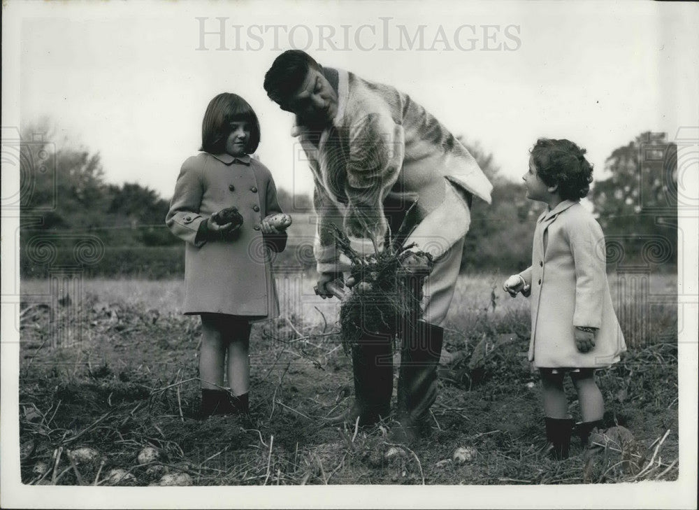 1957 Mr. Teasie-Weasie hair stylist dig potatoes daughters Amber - Historic Images