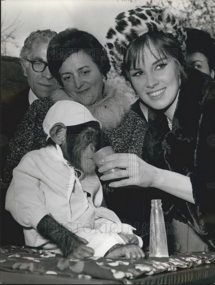 1964 Press Photo Actress Antonella Lualdi &amp; a chimp - KSB08117-Historic Images