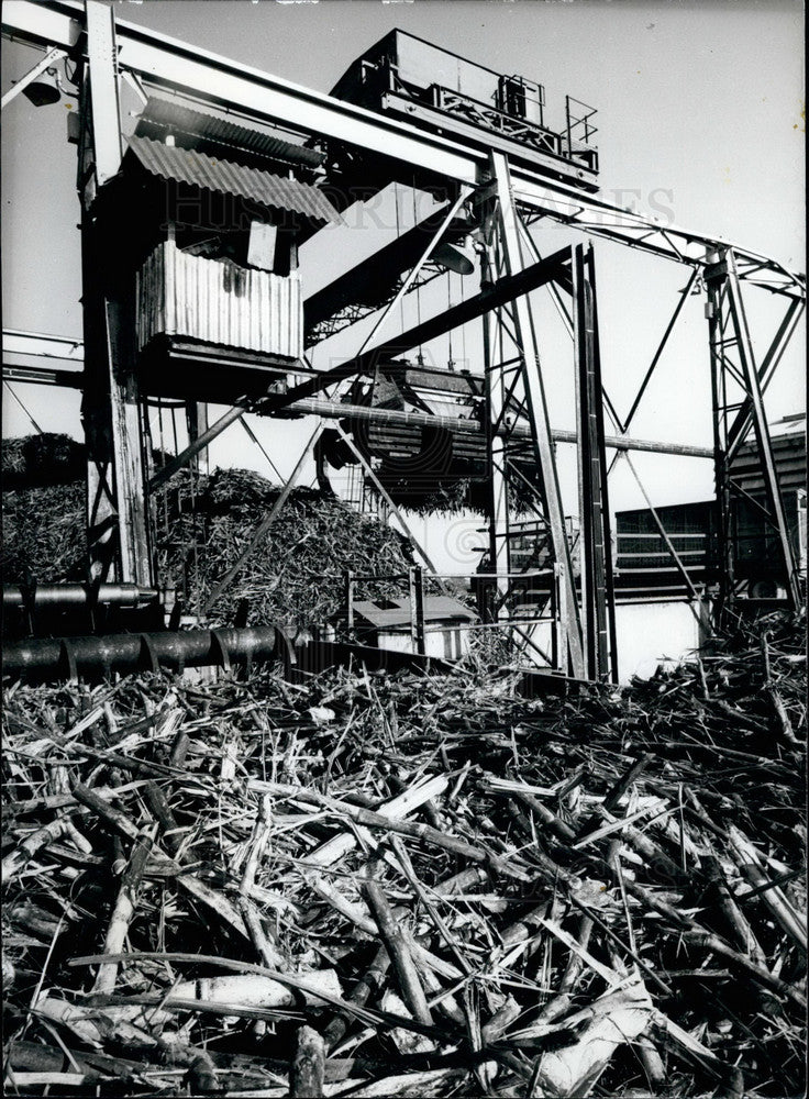 Press Photo Tate and Lyle Sugar Refinery stacking sugar cane for crushing - Historic Images