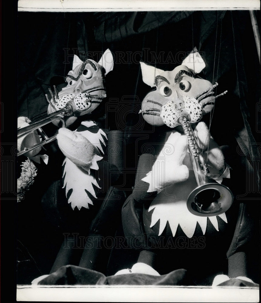 Press Photo Musical Cats N Strings - KSB14811 - Historic Images