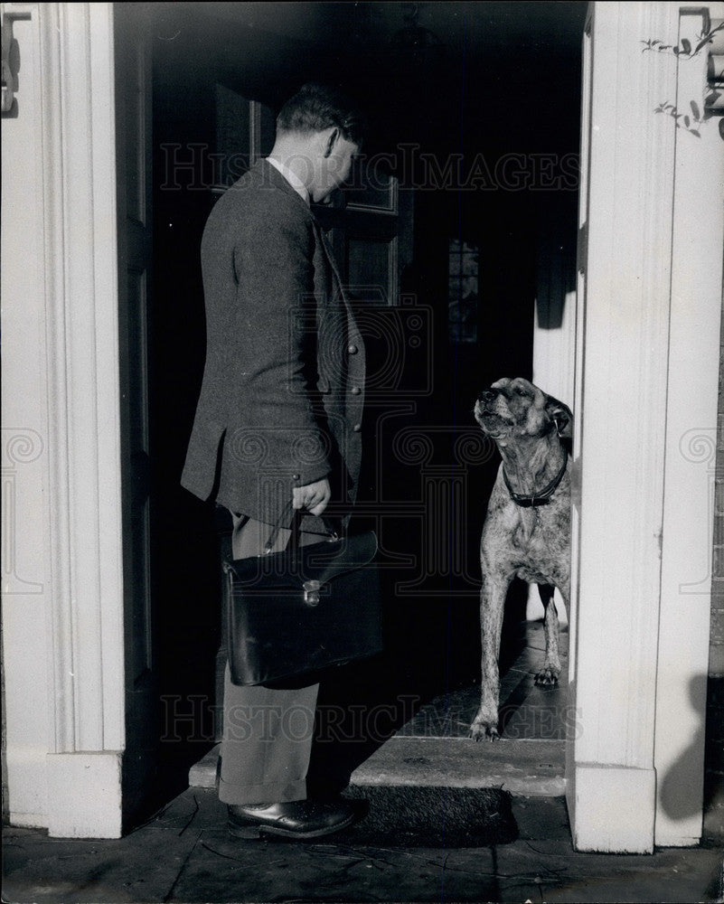 Press Photo Dog Enters Home - KSB14925 - Historic Images