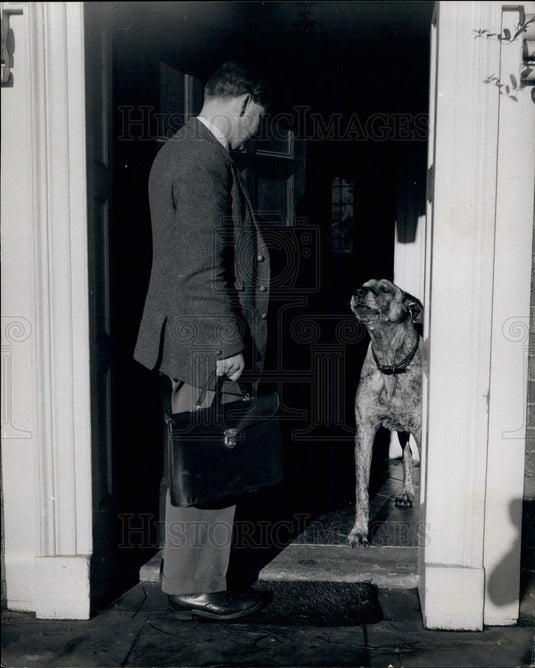 Press Photo Dog Enters Home - KSB14925 - Historic Images