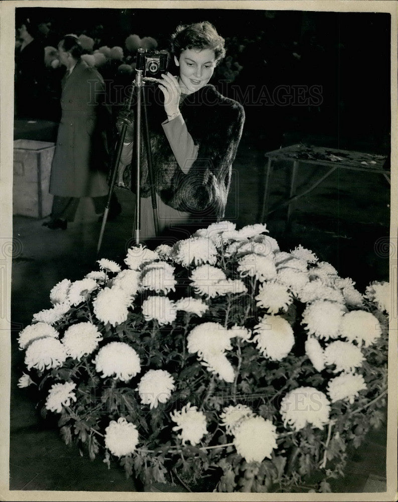 1952 Miss Josie Swaney  at National Chrysanthemum Show - Historic Images