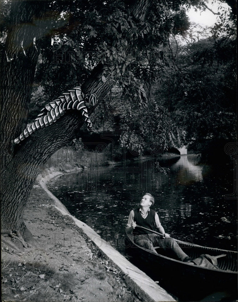 Press Photo Rose Llanos in a costume for her act is in a tree - Historic Images