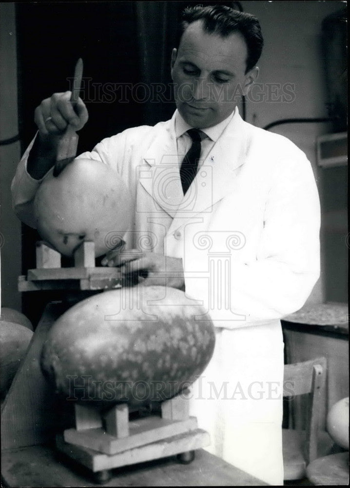 1963 Press Photo National Institution, Protection of Plants, Stutgart, Germany - Historic Images