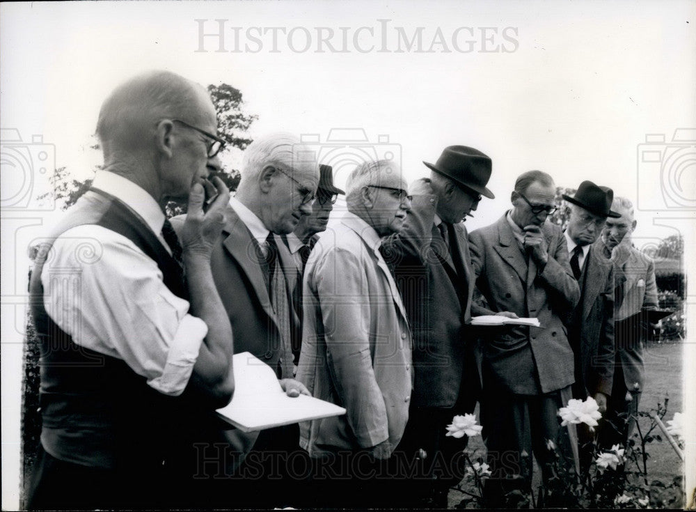 Flower specimen at the Trial Grounds being judged-Historic Images