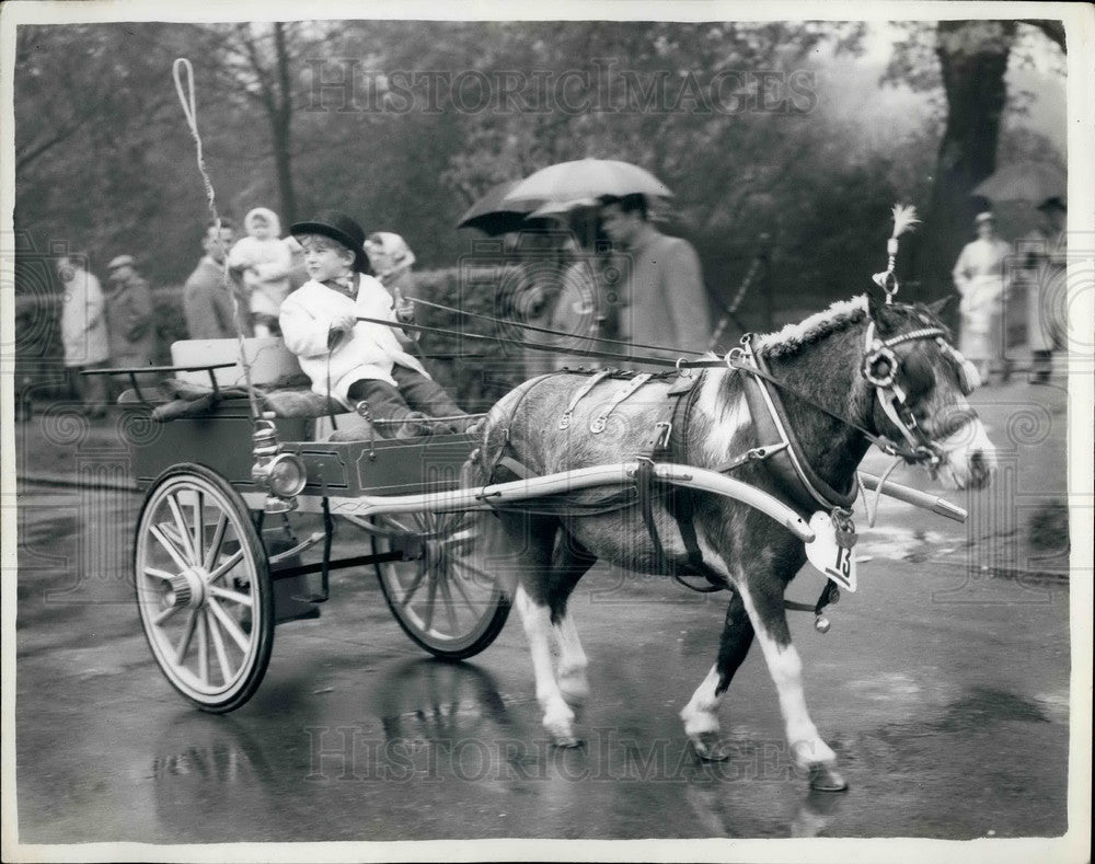 1961 Parade of London's Van Horses in Regent's Park - Historic Images