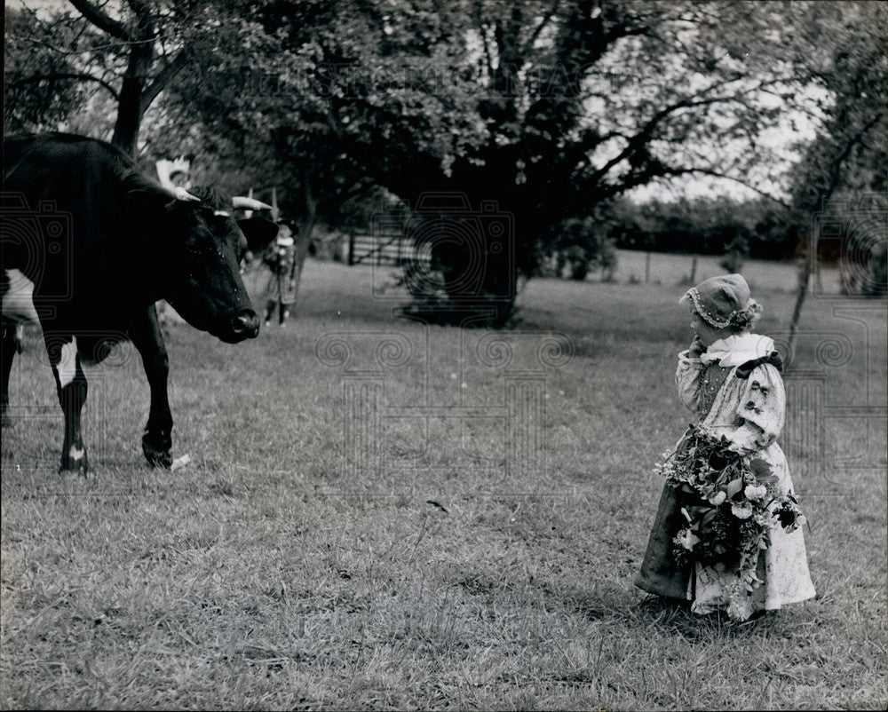 Press Photo Pagent rehearsal interrupted by a cow - Historic Images