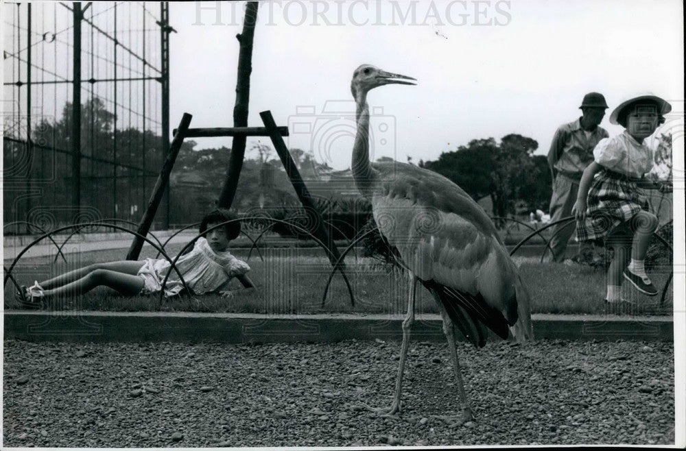  Some children and a tall bird - Historic Images