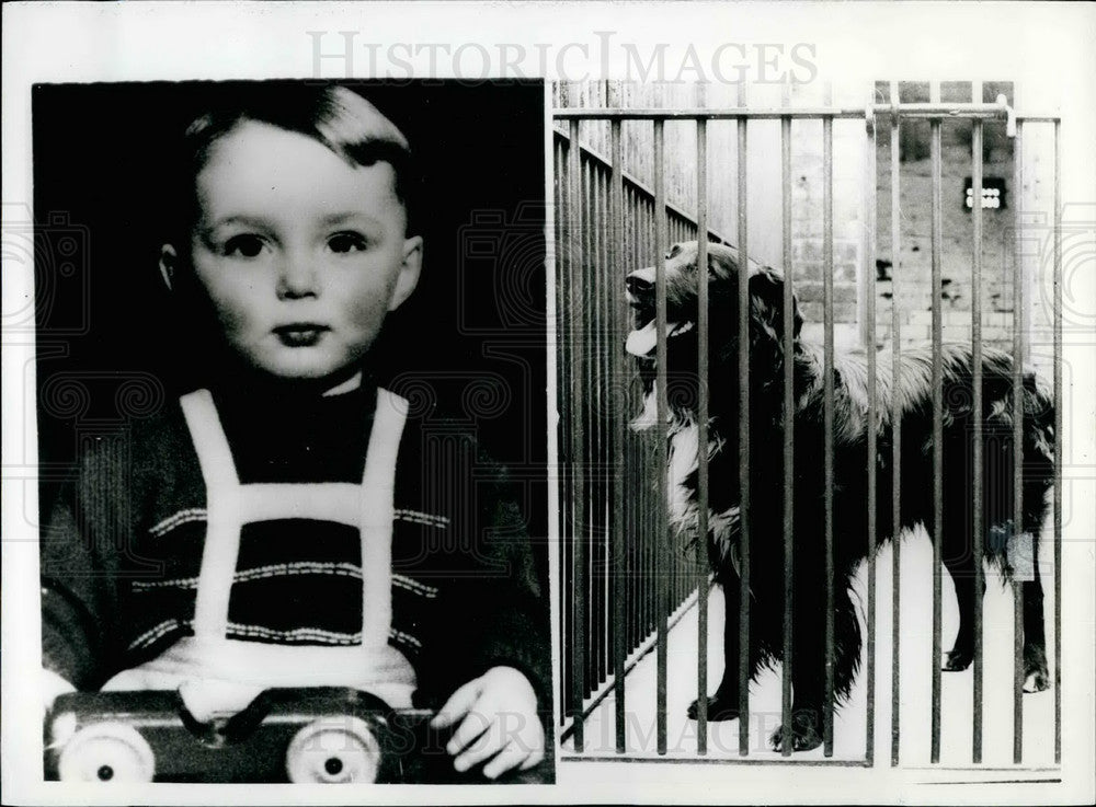 1959, Philip Murray Who Was Pushed Under Truck By Dog Died - Historic Images
