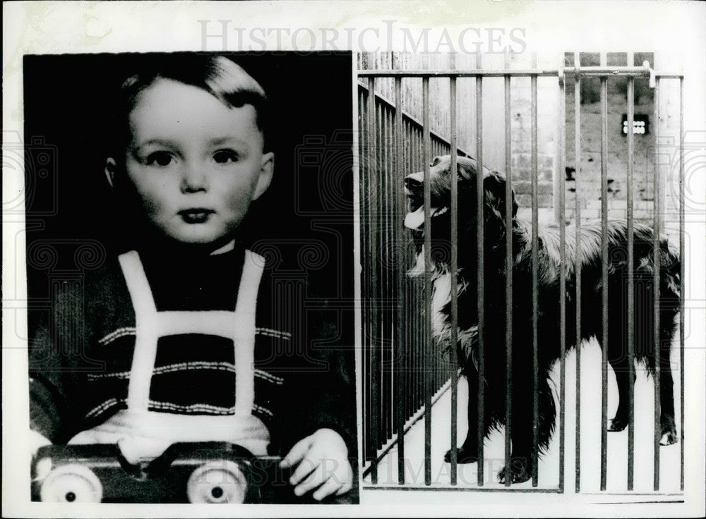 1959 Press Photo Philip Murray Who Was Pushed To His Death Under Truck By Dog - Historic Images