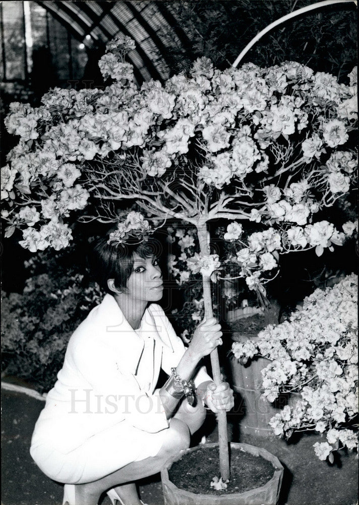 1961 Press Photo Flower Exhibition and dancer Sherry Young - KSB21737 - Historic Images