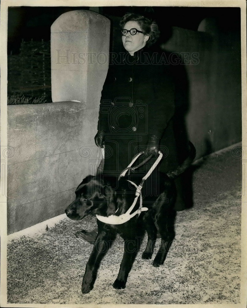 1954 Press Photo Monica Page Facial Shooting Victim Reconstruction Guide Dog - Historic Images