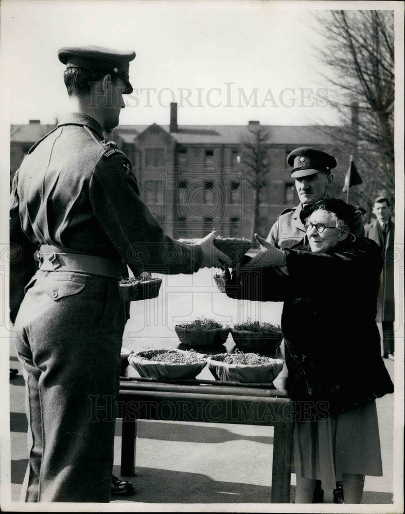 1953 Countess Roberts Presents Shamrock Irish Guards Chatherham - Historic Images