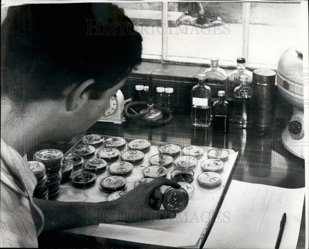1967 Animal Virus Research Institute at Pirbright, Surrey. - Historic Images