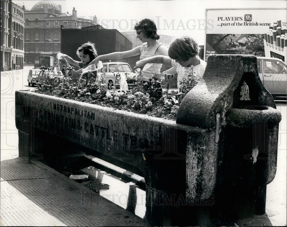 Press Photo Drinking Fountain & Cattle Trough Turned Into Miniature Garden - Historic Images