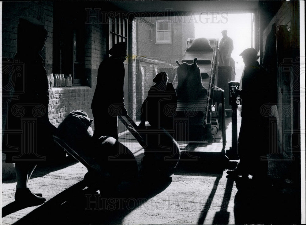 Press Photo Shipment Crushed Horn Leaves Twickenham Warehouse - KSB25169-Historic Images