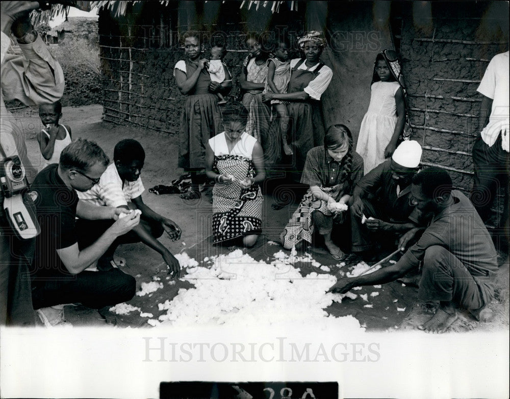 1965, American And Canadian Experimenters Sort Cotton In Tanzania - Historic Images